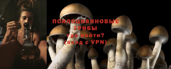 а пвп мука Бородино