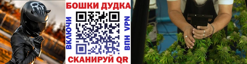 omg маркетплейс  купить наркотик  Медногорск  Марихуана индика 